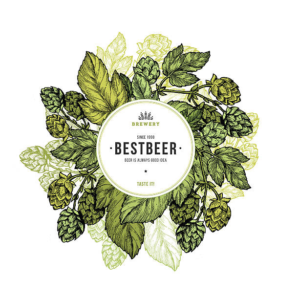 ilustrações de stock, clip art, desenhos animados e ícones de beer hop frame. engraved style illustration. vintage beer design template. - hop