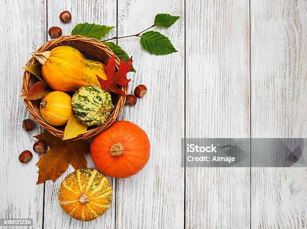 Pumpkin And Leaves Stock Photo - Download Image Now - Gourd, Agriculture, Autumn
