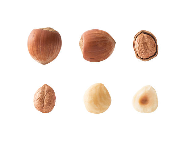 Set of hazelnuts Set of hazelnuts with clipping path hazelnut stock pictures, royalty-free photos & images