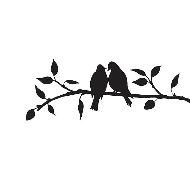 ilustraciones, imágenes clip art, dibujos animados e iconos de stock de aves siluetas de árbol - animals in the wild white background animal black and white