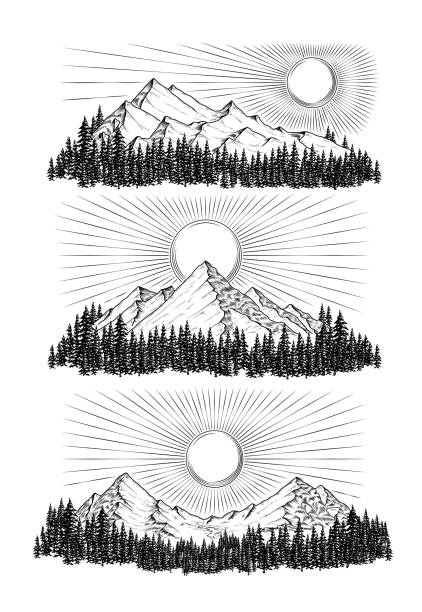 illustrazioni stock, clip art, cartoni animati e icone di tendenza di illustrazione vettoriale disegnata a mano le montagne - panoramic landscape illustration and painting tree