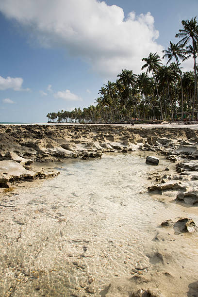 istock Carneiros beach in Porto de Galinhas, Recife, Pernambuco - Brazi 618036444