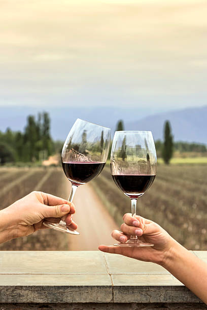 celebración con vino - fotos de viñedos chilenos fotografías e imágenes de stock