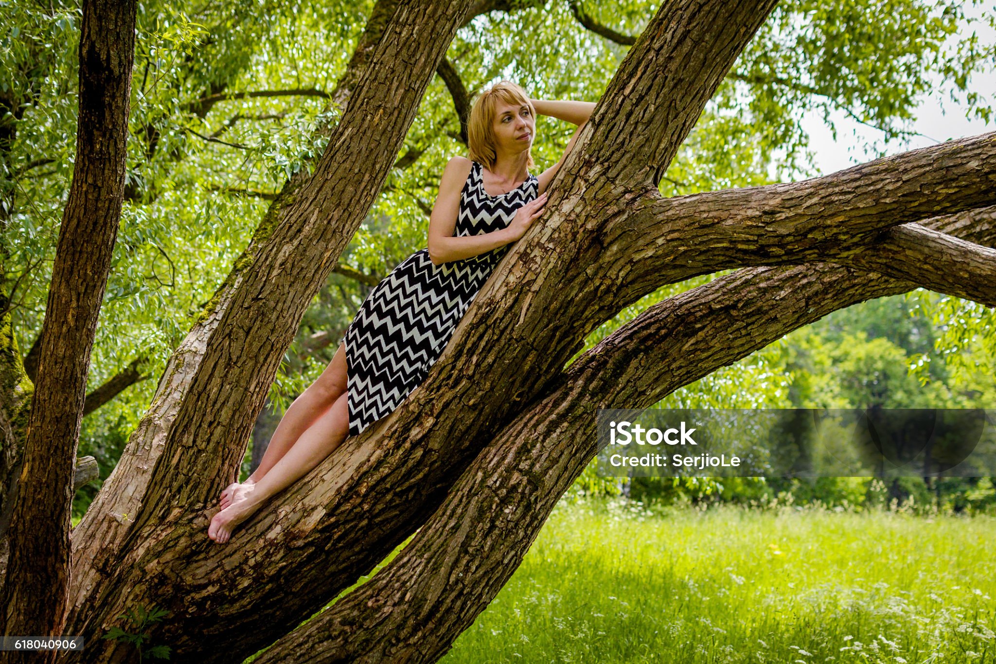 https://media.istockphoto.com/id/618040906/photo/beautiful-young-girl-lies-on-a-tree.jpg?s=2048x2048&amp;w=is&amp;k=20&amp;c=YE_A-e0PJHPF0CmRMFSONF_NUiySQH_EH-BZBkiEaK8=