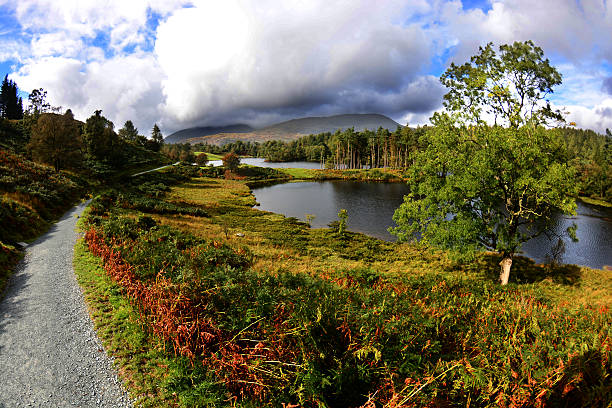 Howse Tarn 380+ Tarn Hows Lake District Stock Photos, Pictures & Royalty-Free ...