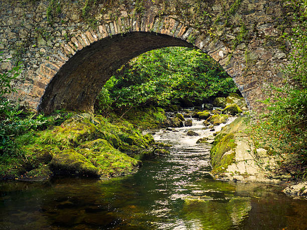 istock old stone bridge over stream in forest park,Northern Ireland 618041612