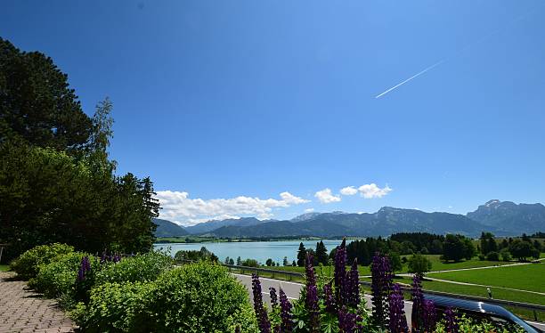 istock Lake Constance, mountains,purple flowers and deep blue skies 618041624