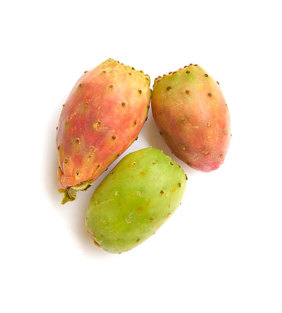 Three barbary figs Three barbary figs. Isolated over white nopal fruit stock pictures, royalty-free photos & images