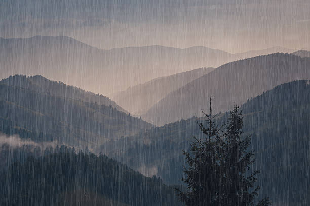 vista sulle montagne piovose. - meteorology rain fog forest foto e immagini stock