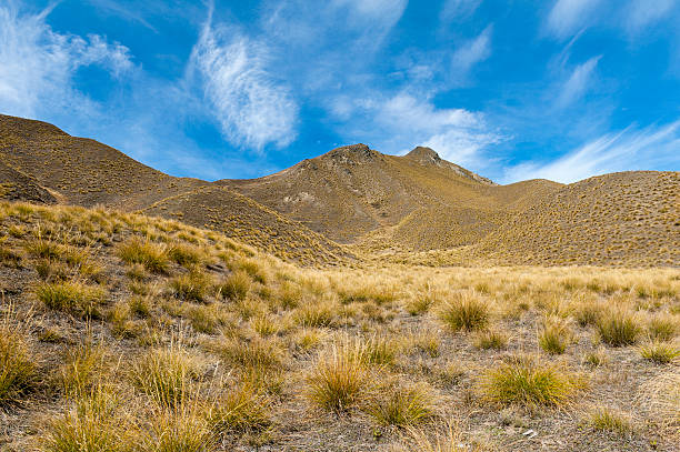 Lindis Pass,  south island of New Zealand Scenic lookout of Lindis Pass on State Highway 8 (Tarras - Omarama - Lindis Pass Road), lies between the valleys of the Lindis and Ahuriri Rivers, south island of New Zealand. omarama stock pictures, royalty-free photos & images