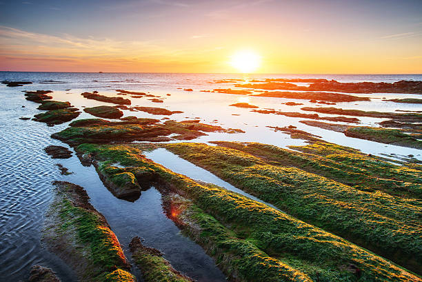 istock Fantastic view of the nature reserve Monte Cofano. Dramatic scene. 618044218