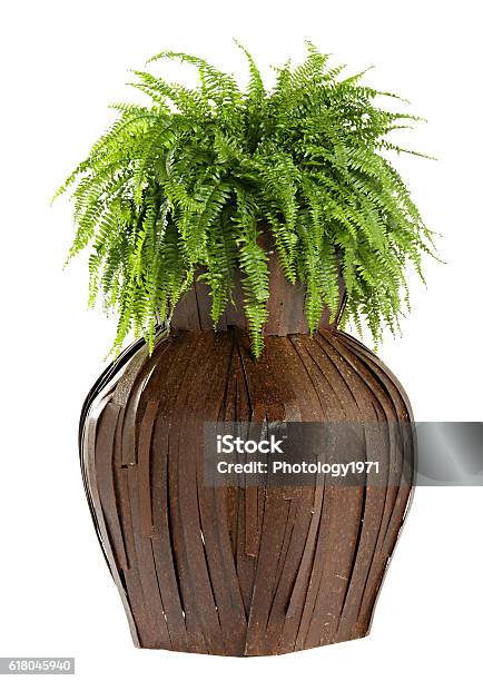 Interesting Bulbous Wooden Flower Box Stock Photo - Download Image Now - Botany, Box - Container, Circle