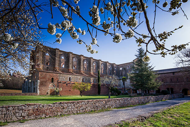 cisterciense abadia de san galgano perto chiusdino, toscana, itália - san galgano - fotografias e filmes do acervo