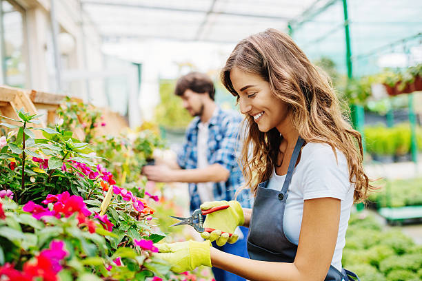 istock Working in the garden center 618051674