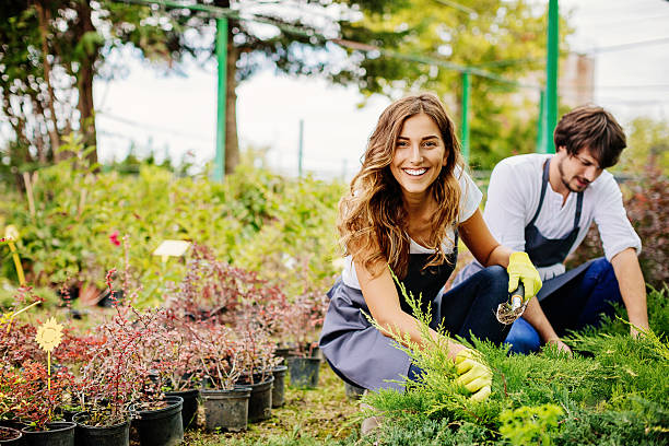 In gardening business Young couple running a garden center. farm produce storage stock pictures, royalty-free photos & images