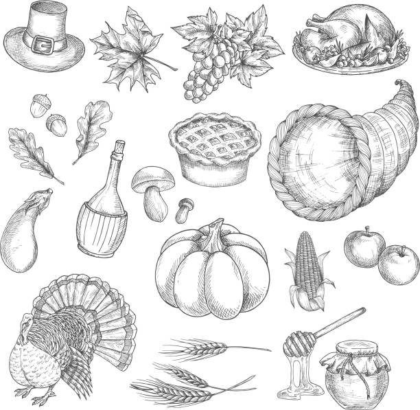 Thanksgiving sketch vector isolated icons Thanksgiving sketch vector isolated icons of traditional celebration. Thanksgiving turkey, cornucopia, pumpkin, vegetables harvest, grape bunch, corn, pilgrim hat. Decoration symbol elements for thanksgiving greeting cards thanksgiving holiday drawings stock illustrations