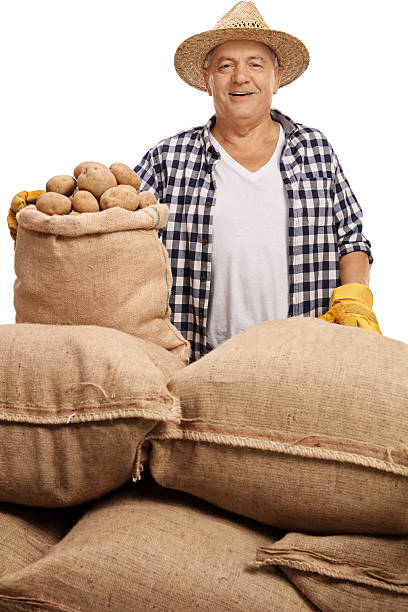 istock Mature agricultural worker posing with sacks with potatoes 618054426