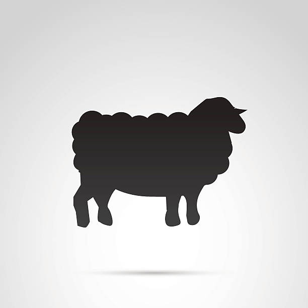 икона вектора овец. - lamb animal farm cute stock illustrations