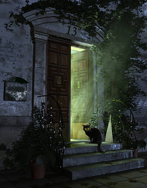 Entrance vintage door, horror night scene, 3D illustration
