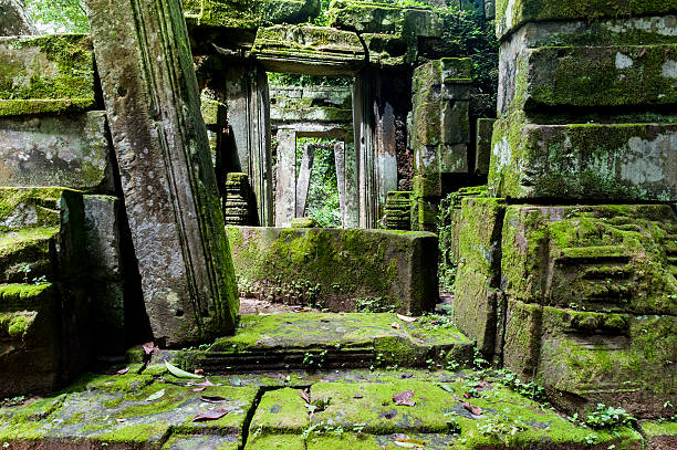 old temples in the jungle, angkor, siem reap, cambodia - mahvolmuş stok fotoğraflar ve resimler