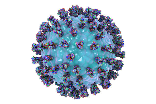 ilustração do vírus parainfluenza - human parainfluenza virus - fotografias e filmes do acervo