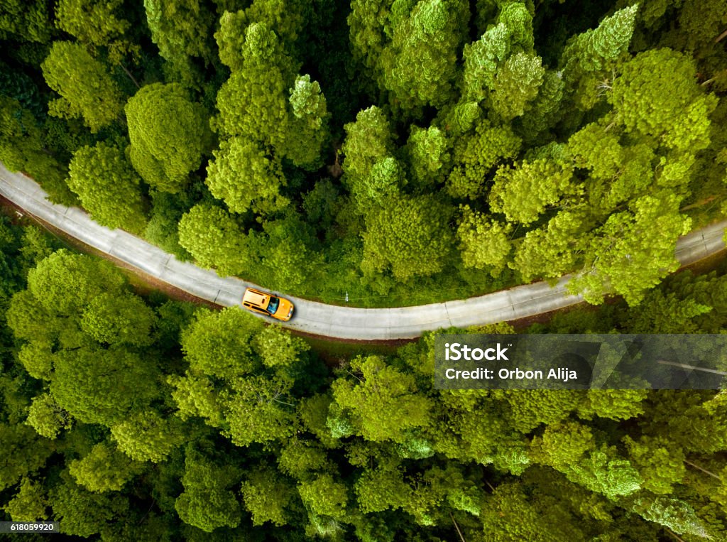 Taxi driving through Park Green Color Stock Photo