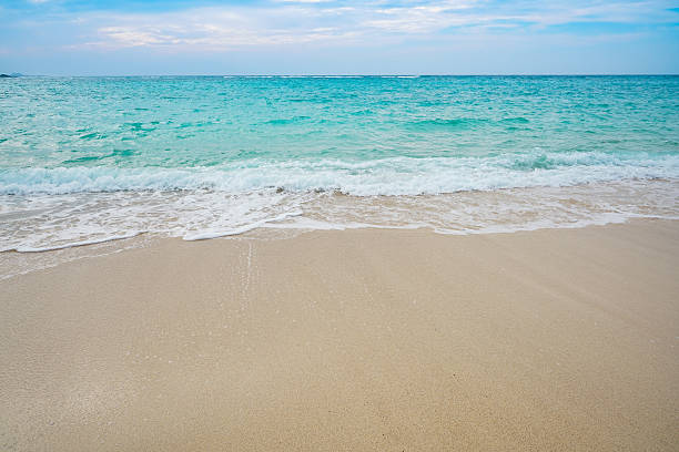 istock Wave and foam of the sea on the sand beach 618060100