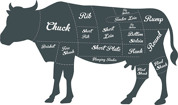 иллюстрация из говядины создает диаграмма  - butchers shop butcher meat delicatessen stock illustrations