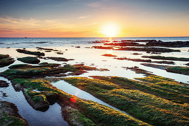 istock Fantastic view of the nature reserve Monte Cofano. Dramatic scene. 618062608