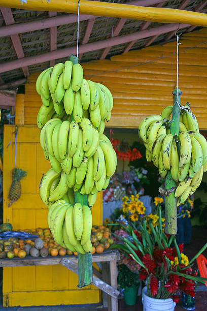 istock Two Bunches of Bananas Hanging in a Shop 618063406