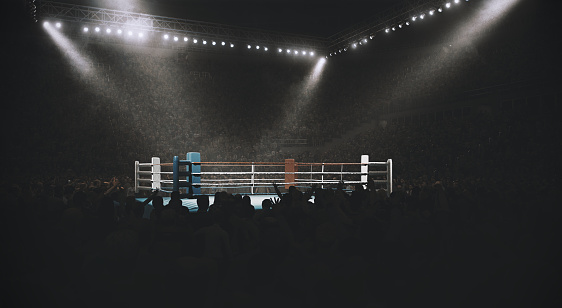 3D made empty professional indoor ring with crowd on the bleachers with intensional lenseflares and fog.