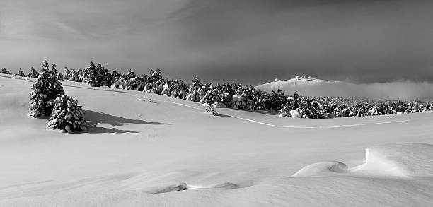 istock Landscape with snowbound slopes and pinetrees 618065982