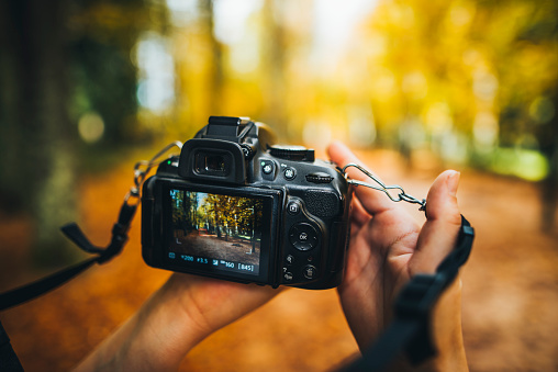 Two hands holding a black video camera. On the camera monitor is a forest with fall tones. The background of the actual image is blurred.