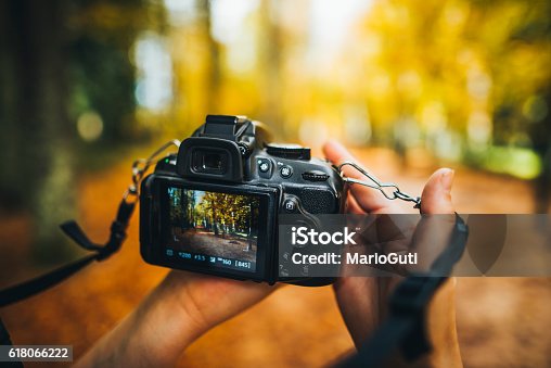 istock Camera capturing a forest 618066222