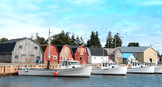 Prince Edward Island fishing village- boats, storage sheds, homes.