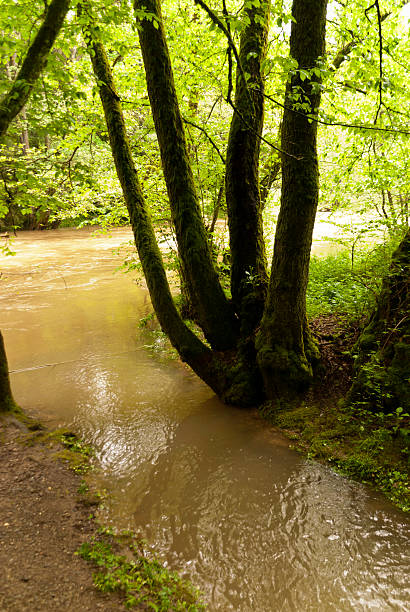 istock On the Hiking Trail Eifelsteig 618178750