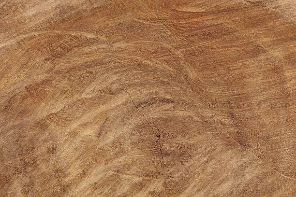 istock Wood texture of cut tree trunk, close-up 618180772