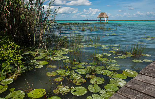 istock Lake, Laguna, Bacalar, Mexico 618181088