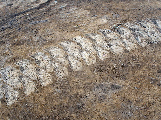 istock Folk lift Tire track 618181166