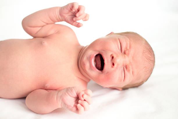 nouveau-né bébé pleurer - screaming little boys child human teeth photos et images de collection