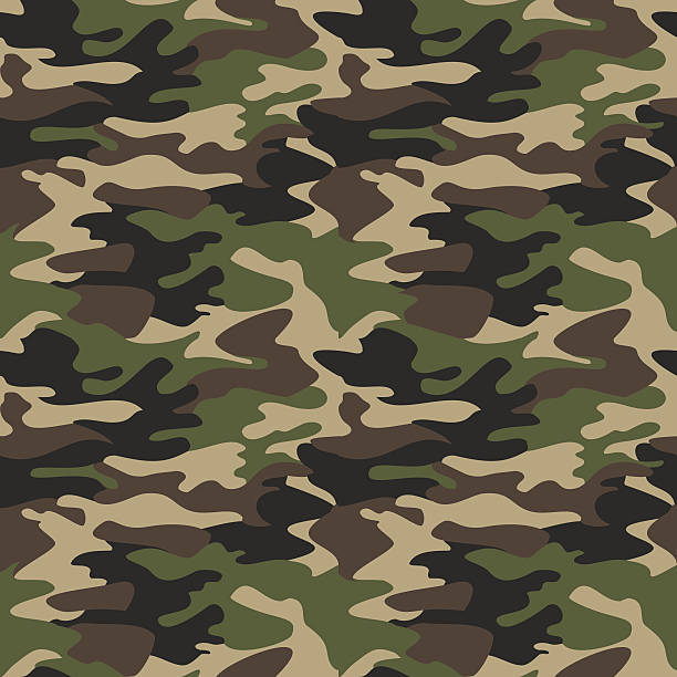 illustrations, cliparts, dessins animés et icônes de illustration vectorielle transparente de motif de camouflage. clas - camouflage
