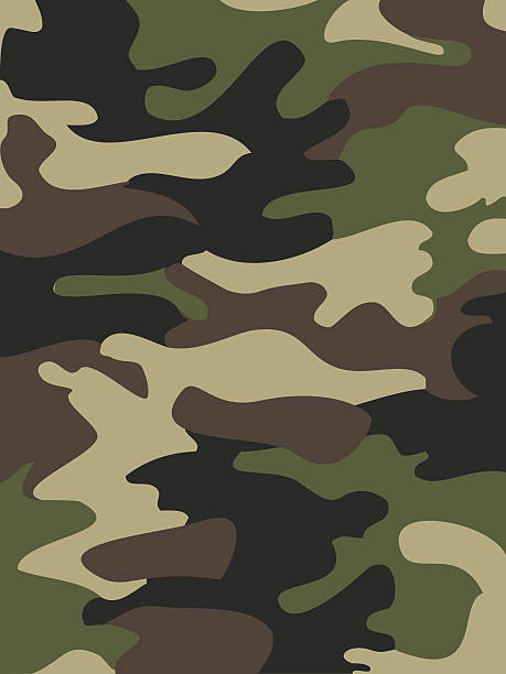 520+ Woodland Camouflage Pattern Stock Illustrations, Royalty-Free ...