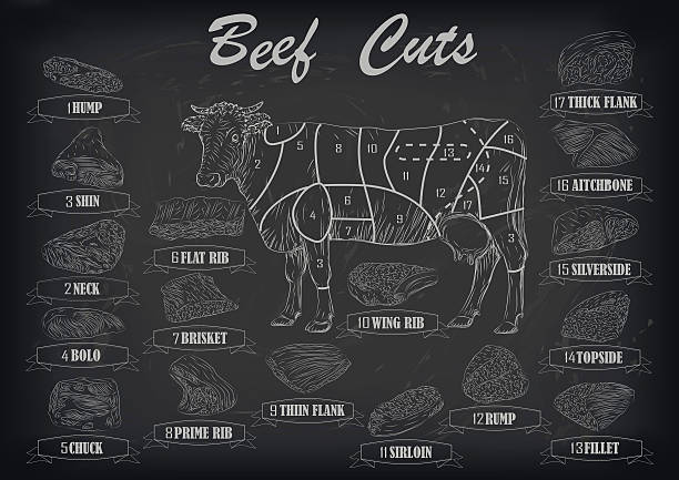 Beef cow bull whole carcass cuts infographics scheme vector illustration Beef cow bull whole carcass cuts cut parts infographics scheme sign signboard poster butchers guide: neck, chunk, brisket fillet rump. Vector beautiful horizontal closeup black outline beige background roasted prime rib illustrations stock illustrations