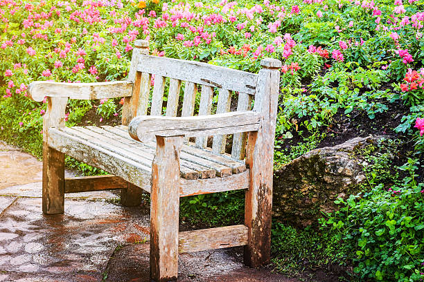istock Vintage bench in botanic park. 618187134
