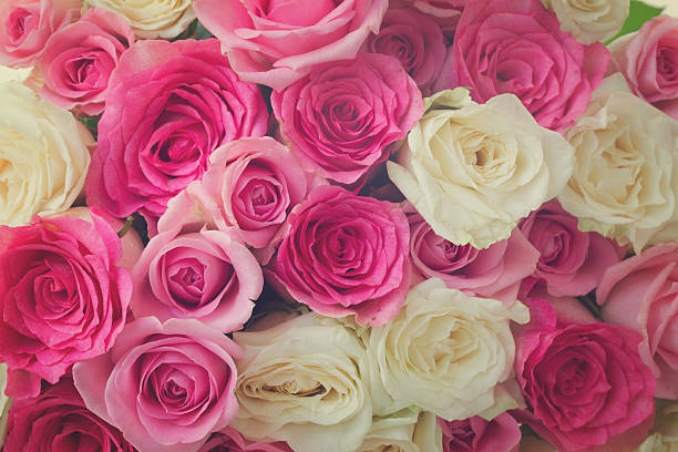 istock bouquet of fresh roses 618187398