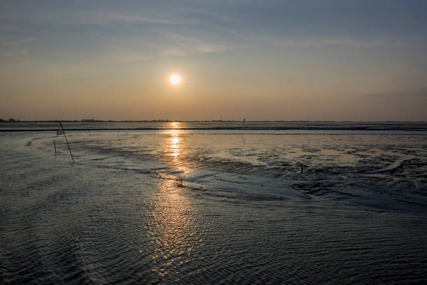 istock Tidal pools in the Wadden Sea at sunset 618188184