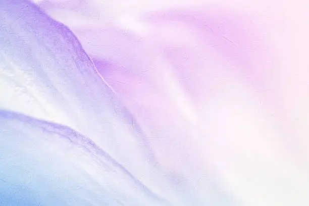 Photo of sweet color flower petals in soft color and blur style