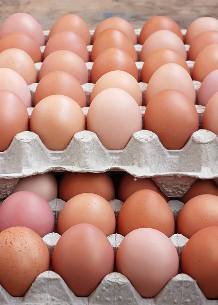 istock Chicken brown eggs in a tray. Food. 618193144