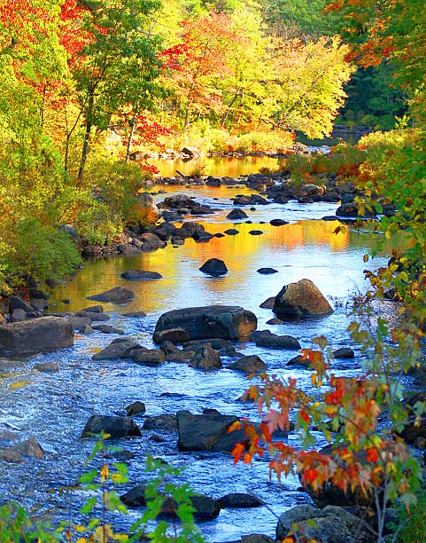 New Hampshire Forest River In Autumn River scene in New Hampshire, USA. Fall forest colors reflecting in boulder laced river. landscape stream autumn forest stock pictures, royalty-free photos & images