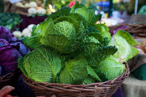 chou de savoie vert au marché fermier - green cabbage photos et images de collection